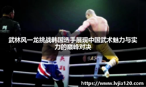 武林风一龙挑战韩国选手展现中国武术魅力与实力的巅峰对决